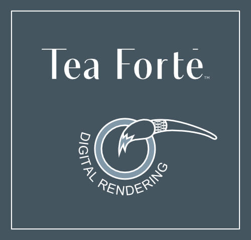 Tea Forte Digital Rendering